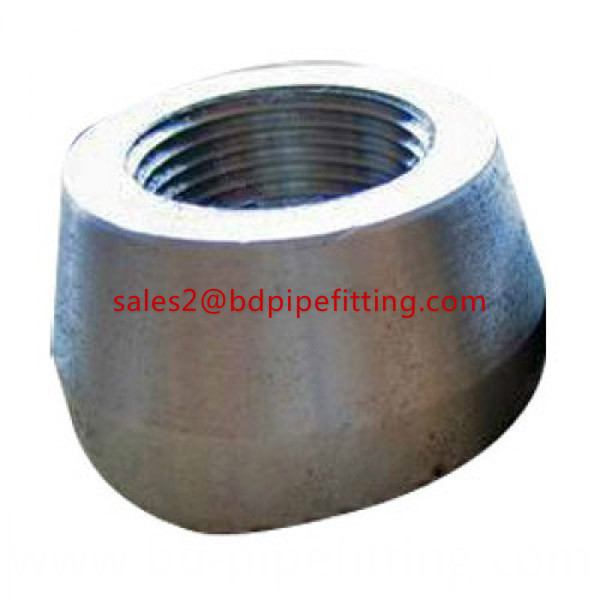 ANSI B16.11 Stainless Steel Threadolet China Manufacturer